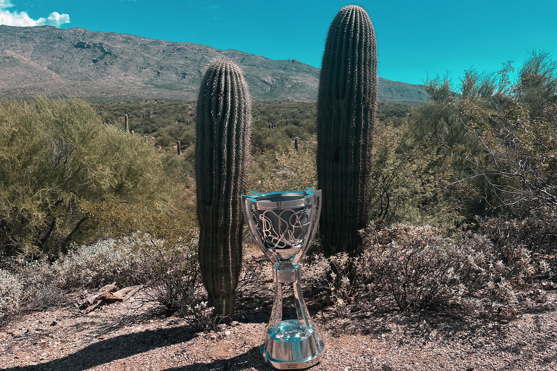 The Bill France Cup in the desert of the Saguaro National Park in front of two cacti