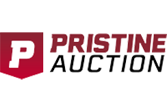 Pristine Auction Website