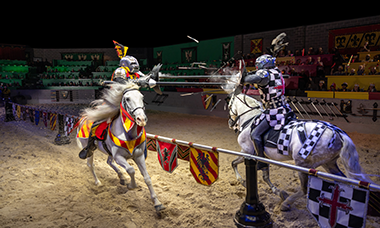 MEDIEVAL TIMES DINNER & TOURNAMENT Website