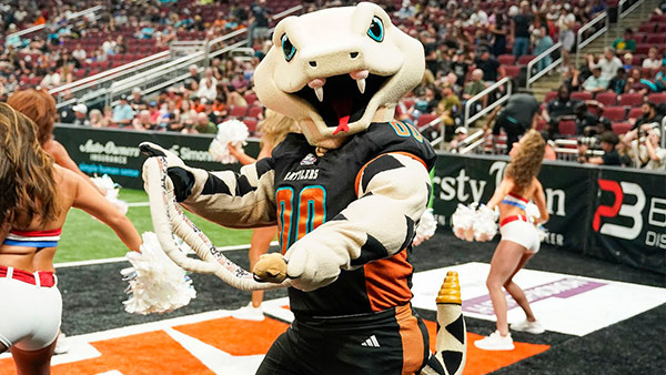 The Phoenix Rattlers snake mascot stands on the field at a professional indoor football game, holding a large coiled snake prop while entertaining fans. Cheerleaders perform in the background, with a crowd filling the arena seating behind them.